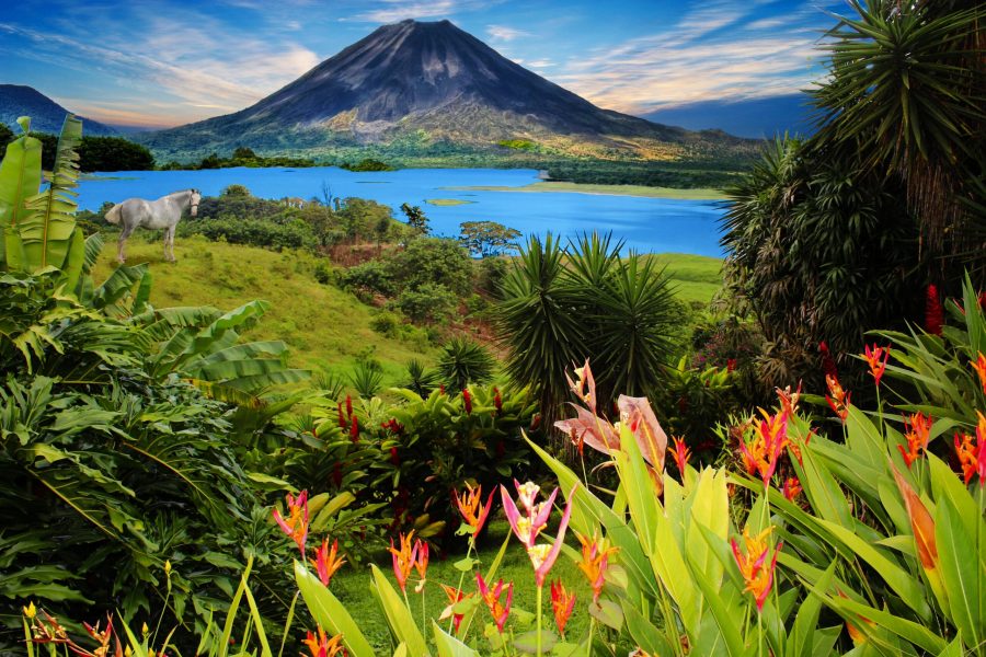 Vive una aventura inolvidable en Costa Rica