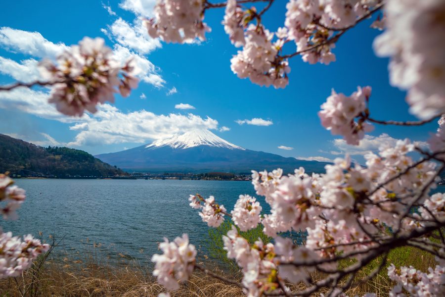 Bellezas de Japón - Imagen 2