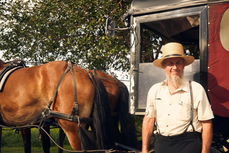 Excursión de 4 Días a las Cataratas del Niágara, Filadelfia, la Región Amish y Washington - Imagen 4